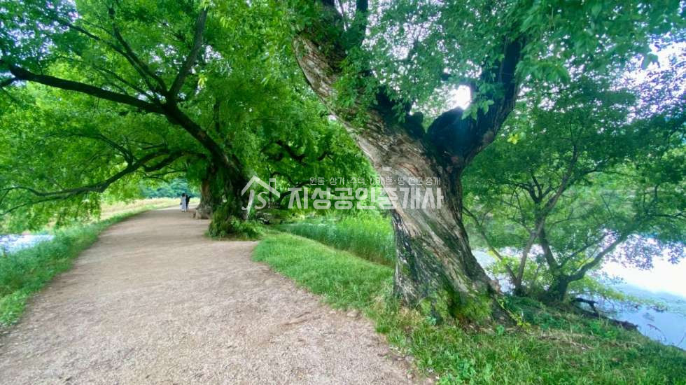 경북 경산시 남산면 반곡리 전원주택매매 매매 매물번호 13008 사진 3