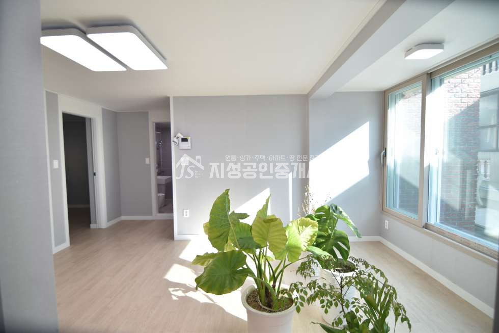 대구 달서구 상인동 1425-14 올수리/ 착한가격/ 방3+주거욕2/ 햇살아주좋음/ 고급인테리어/ 즉시입주가능/ 공원앞그집 전세 매물번호 10083 사진 1
