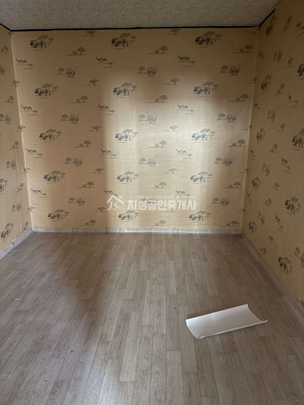 대구 달서구 상인동 권리금無 대동시장인근 유동인구풍부 저렴한월세 업종무관 다용도 월세 매물번호 11179 사진 4