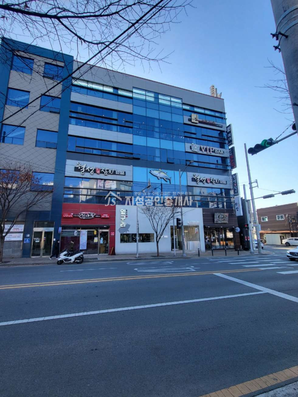 대구 달서구 월성동 임대걱정없는위치/ 신월성핫플레이스/ 공원앞상가/ 엘리베이터有/ 월수익최고/ 노후보장확실함/ 도로변상가 매매 매물번호 10120 사진 2