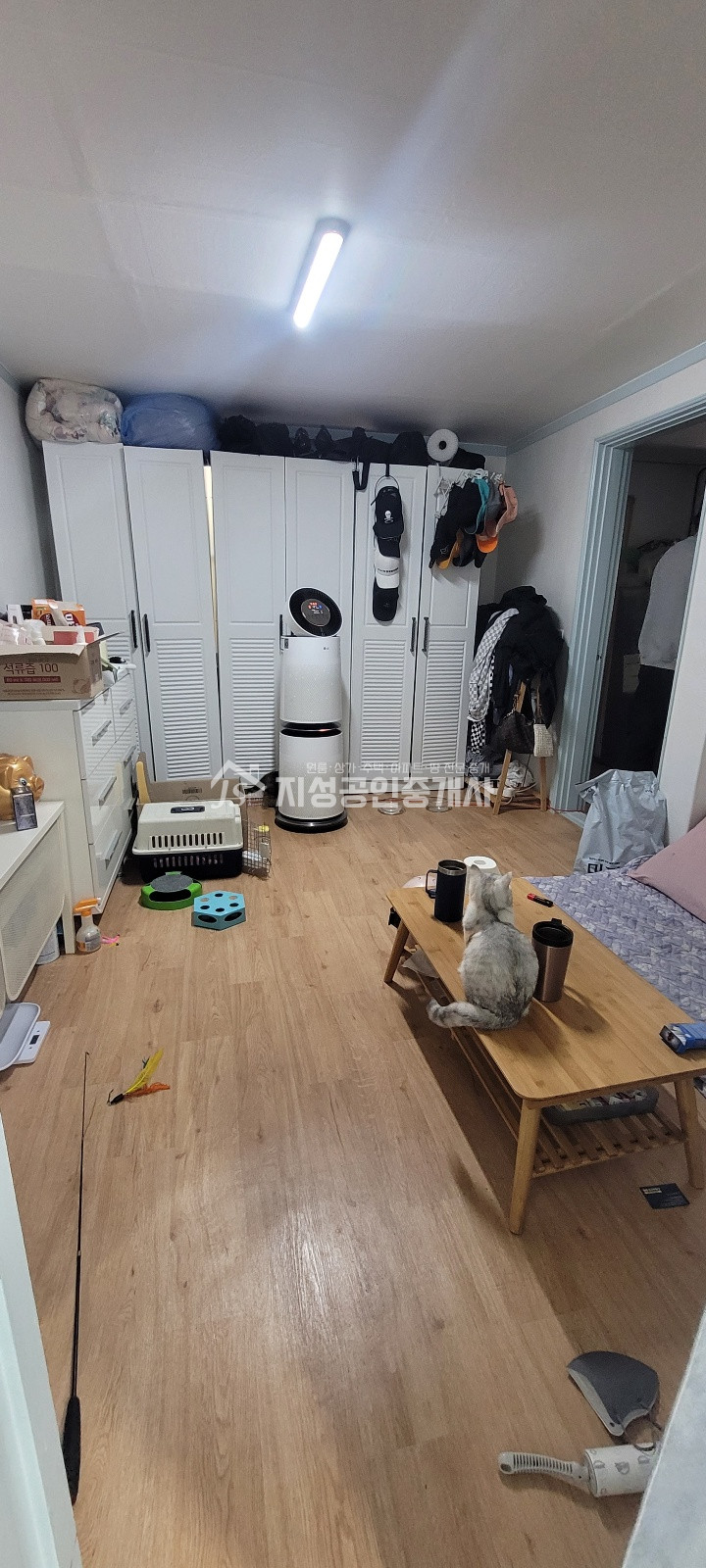대구 달서구 상인동 도로변상가/ 초,중,고바로인접/ 권리금없음/ 풍부한유동인구/ 노출아주좋은상가/ 다용도가능/ 방2개있음 월세 매물번호 10394 사진 4