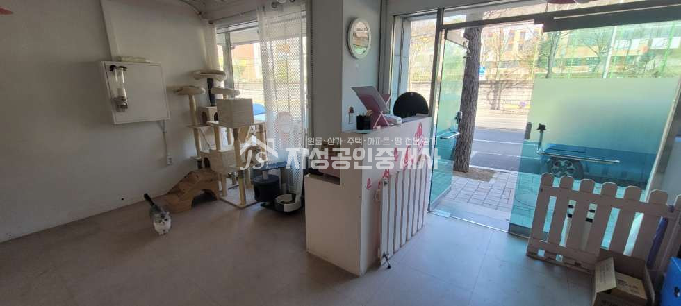 대구 달서구 상인동 도로변상가/ 초,중,고바로인접/ 권리금없음/ 풍부한유동인구/ 노출아주좋은상가/ 다용도가능/ 방2개있음 월세 매물번호 10394 사진 7