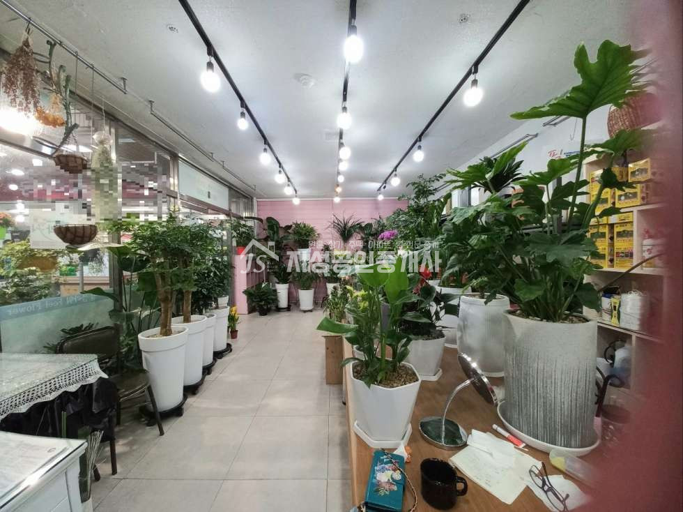 대구 달서구 상인동 107동 대단지아파트밀집지역상가,대형마트옆확트인공간활용도 좋은상가,위치최상의유동성.시인성좋은상가 매매 매물번호 10606 사진 1