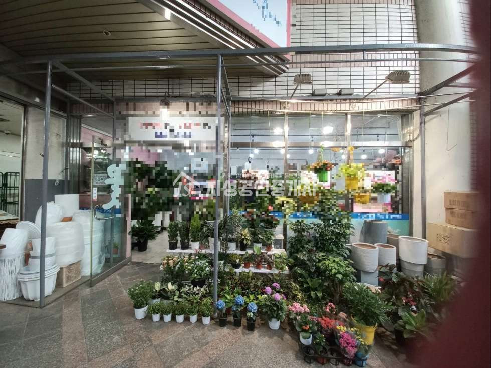 대구 달서구 상인동 107동 대단지아파트밀집지역상가,대형마트옆확트인공간활용도 좋은상가,위치최상의유동성.시인성좋은상가 매매 매물번호 10606 사진 3